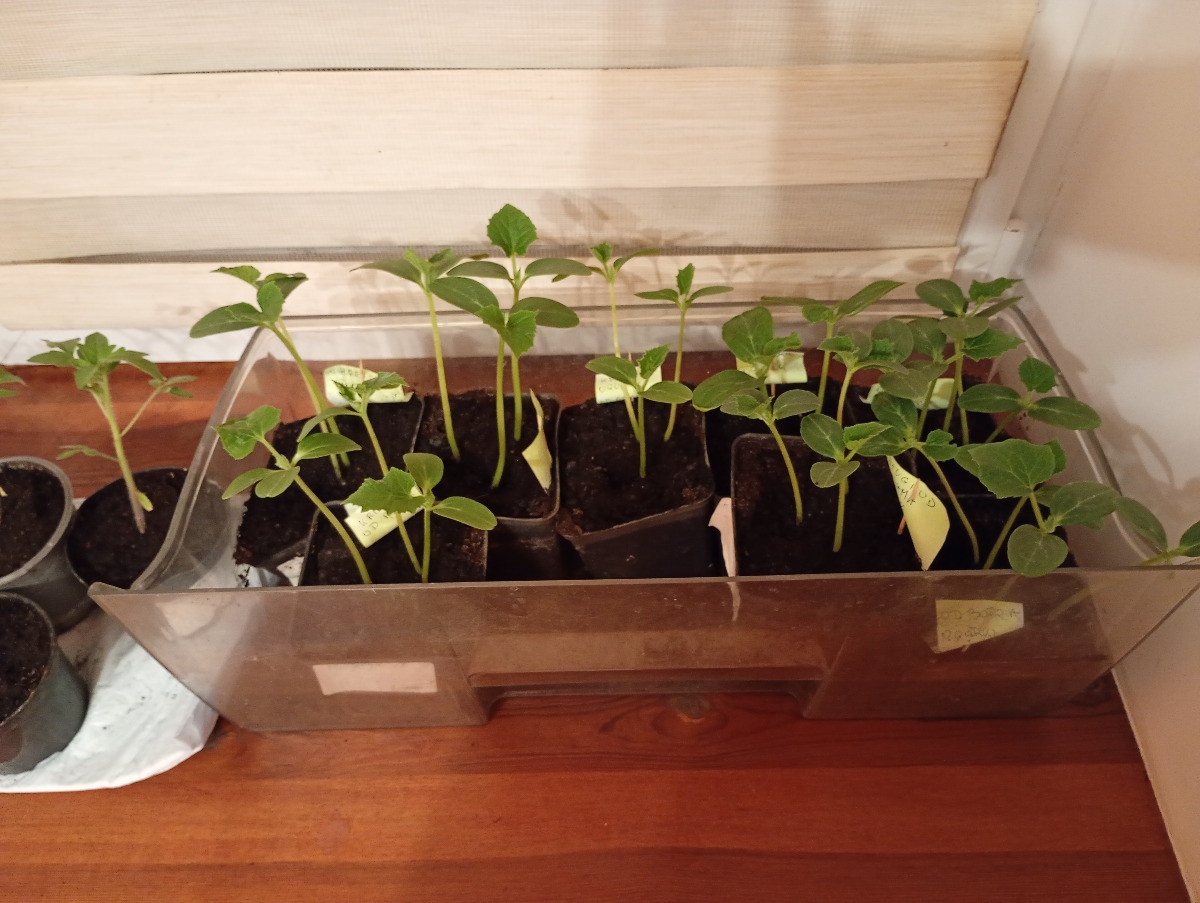 220cc76a-1097-40c1-95d3-12333eea8d3b