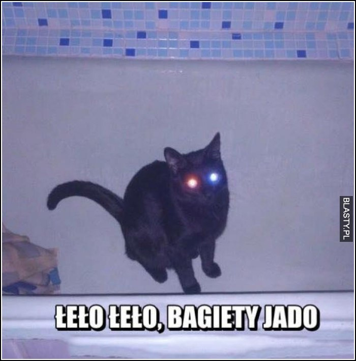 9bcad670-1019-4551-90c7-8a3217b708a4