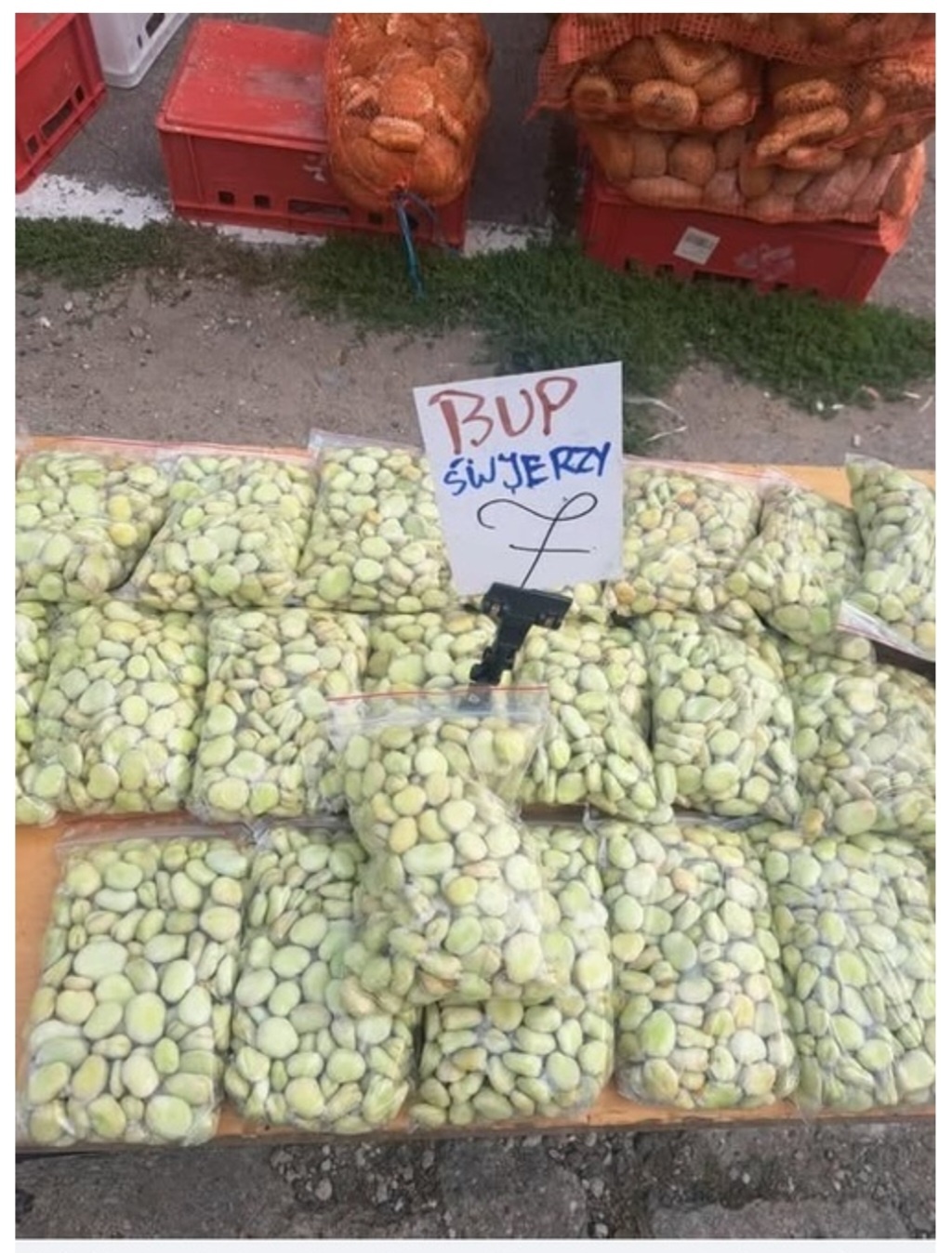 a9cc8f98-d1b4-48c9-875b-19d5e3e1400c