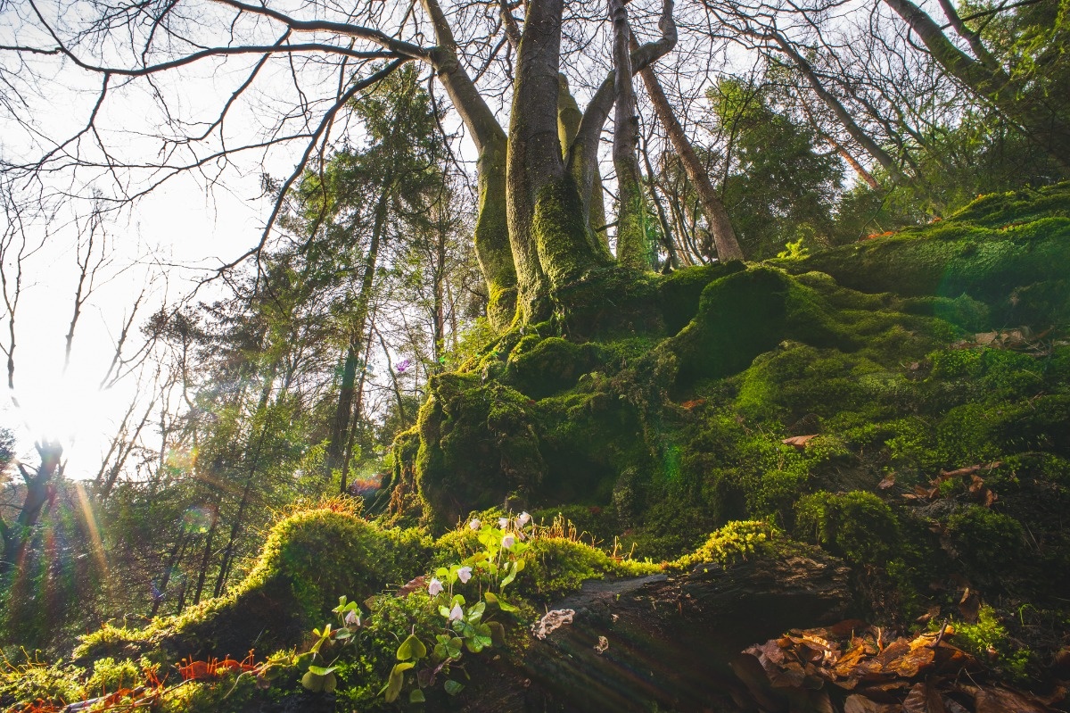 34601e75-0627-4d9d-a402-1471fe69e28a