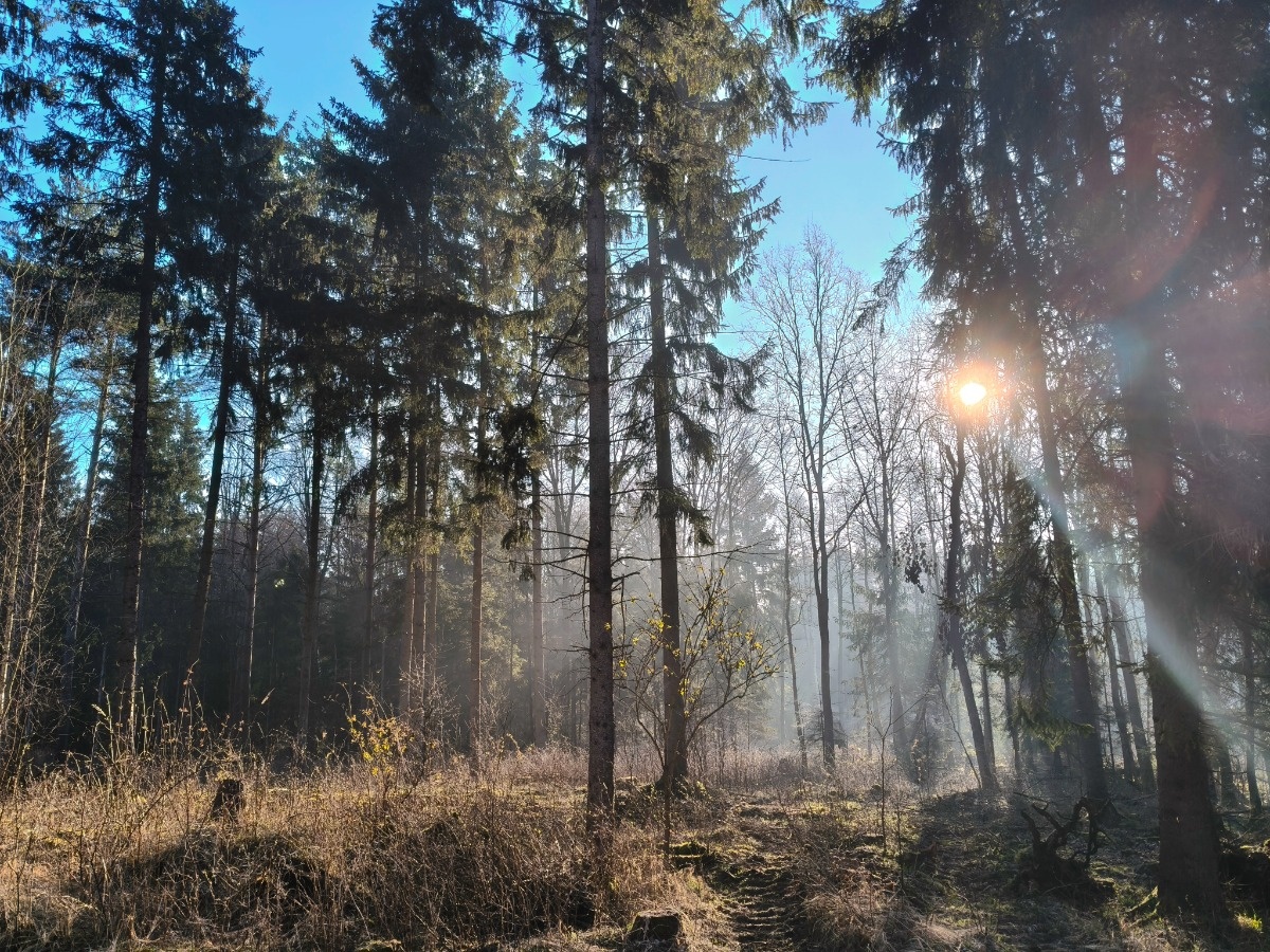 8837a657-23a6-4653-a497-0dd8fb5a2e1f