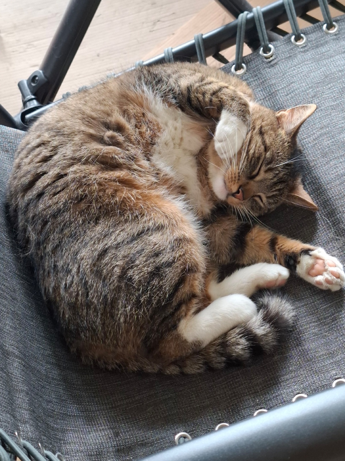 bbc45867-76b7-4972-a860-4de7081ff3c3