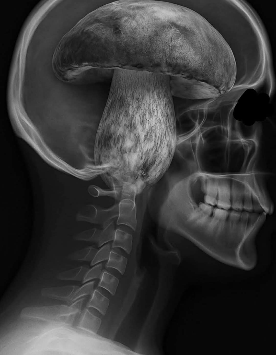 333e9c19-b832-4600-9222-c27933a1faa2