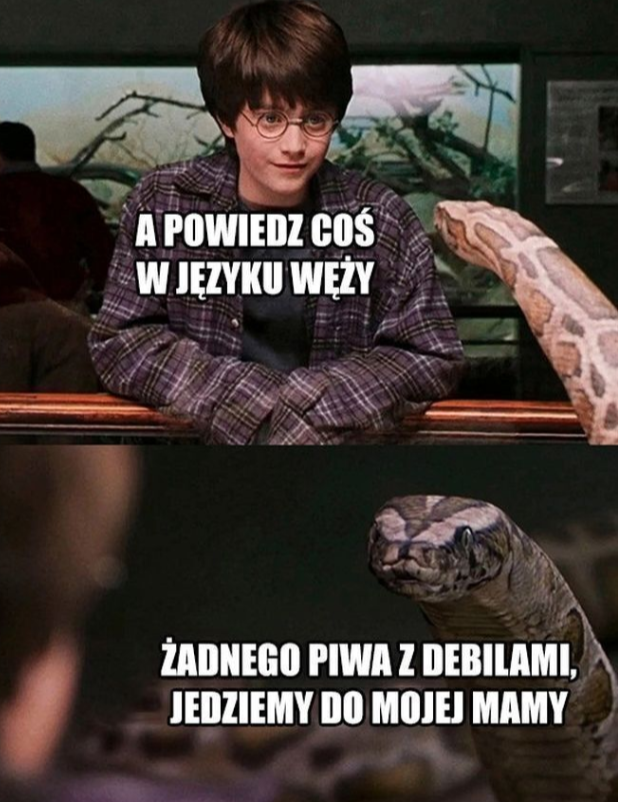 90090ba3-1b4f-49ef-844d-4c5bdb4babab