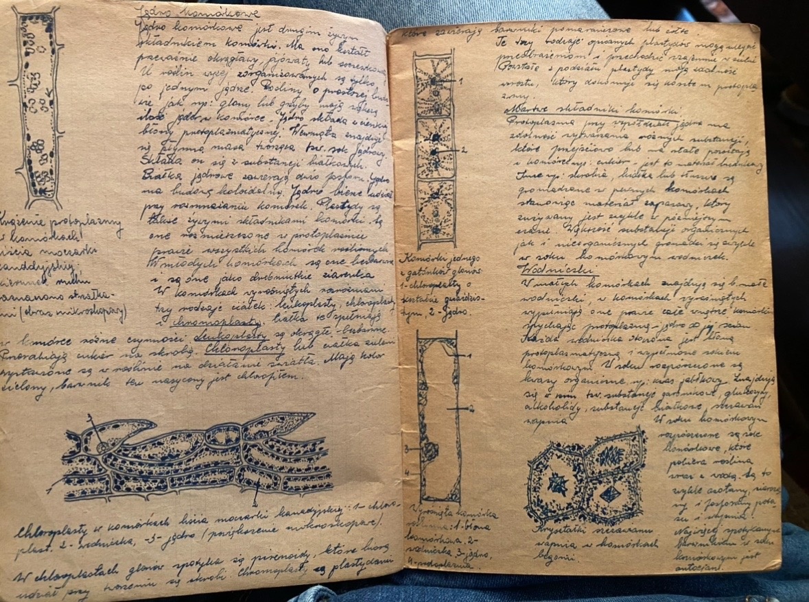 8499d431-50ec-47d1-ab47-bf777a1f77a5