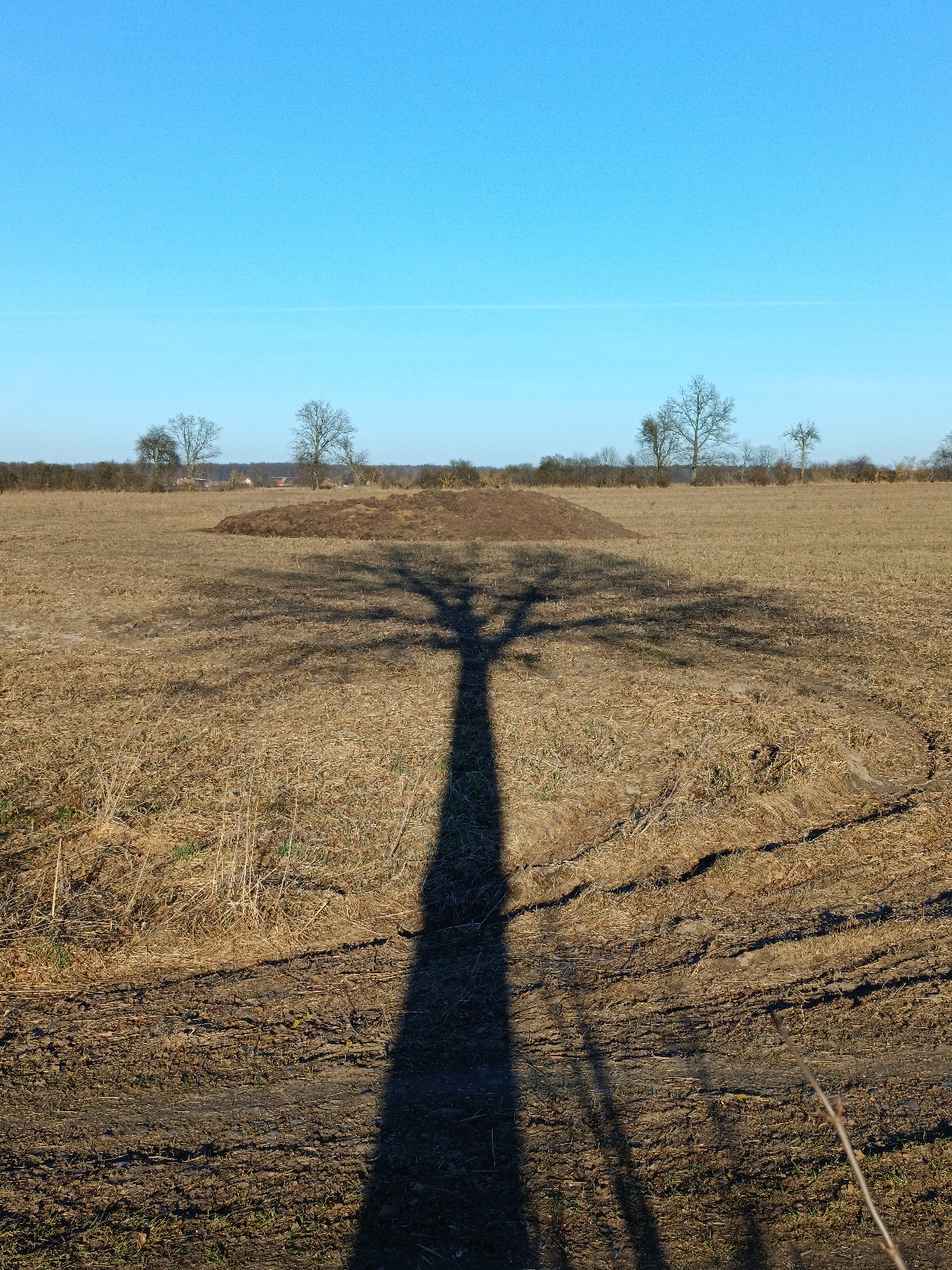 1d291bbf-8b29-49d9-9881-d2e644e14bff