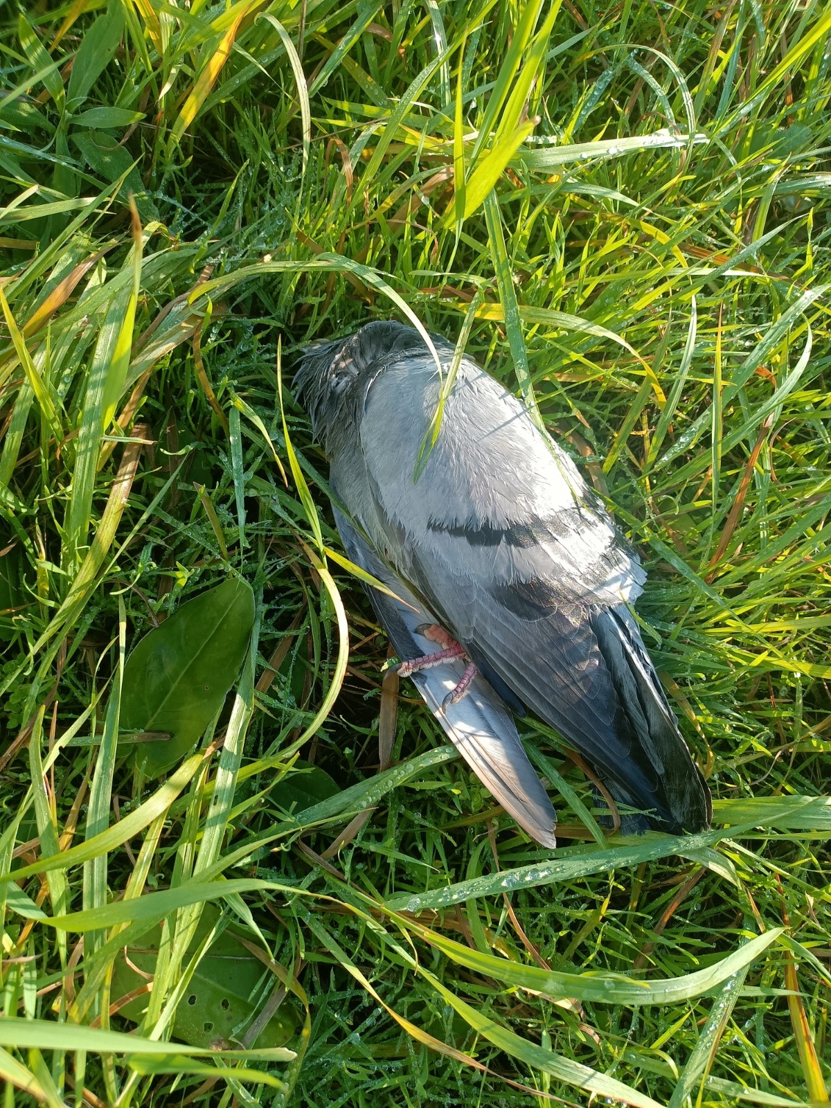 2ee94111-a34a-4713-8550-493208e197cd