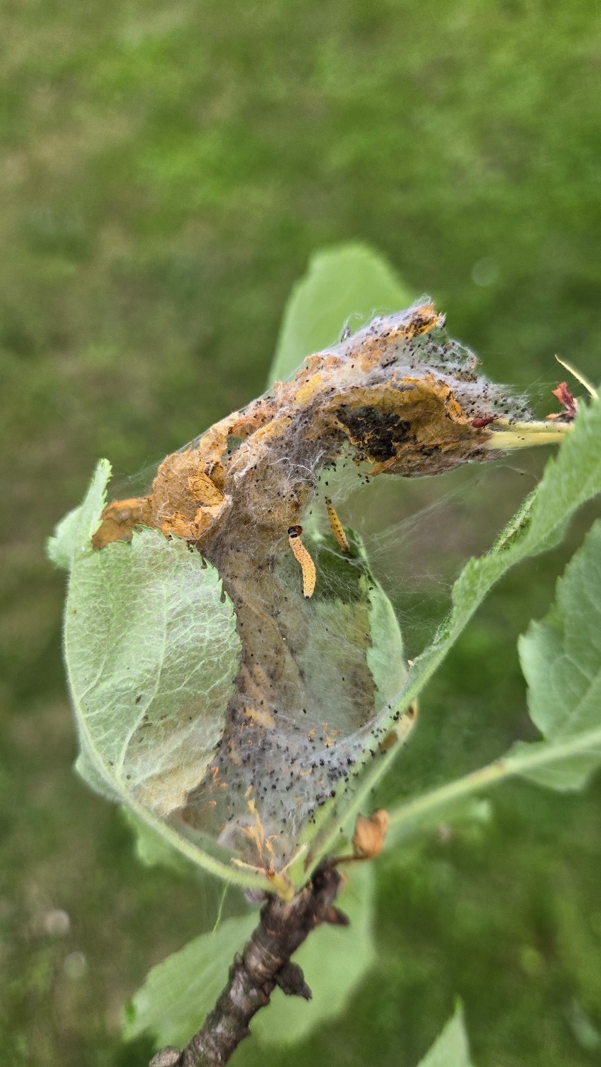 8ca33961-5046-4ca6-a9a5-1a8f7cdf12d3