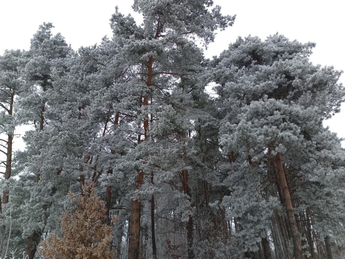 d473b84a-12c0-4f4b-bc5f-4cb7e0928414