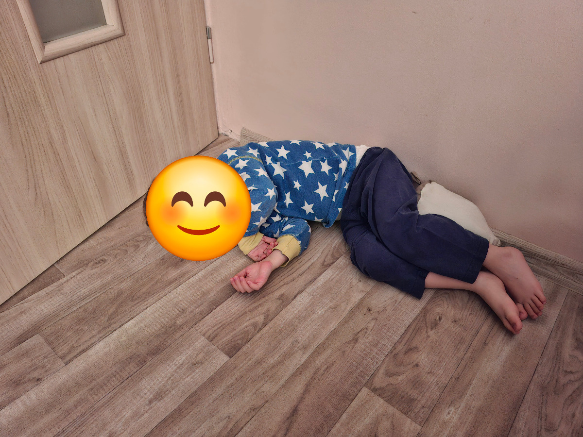 de376217-6a14-4e97-9e77-cb6d049958e5