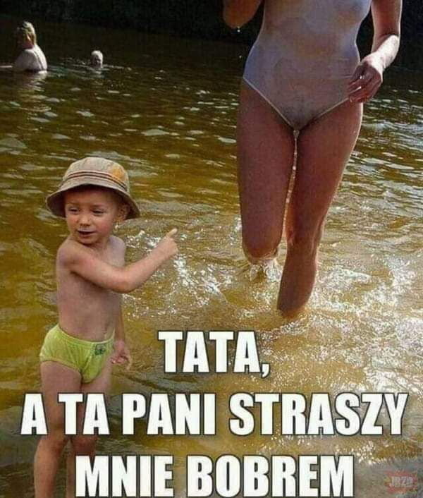 1d1b427c-6fa6-4aa4-8176-879f1ab4372f