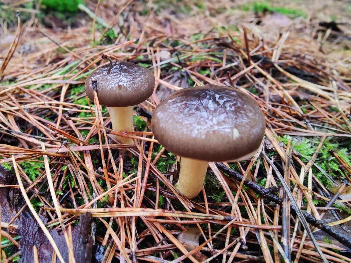 b84df745-fd14-4862-a883-a7a6e2652de2