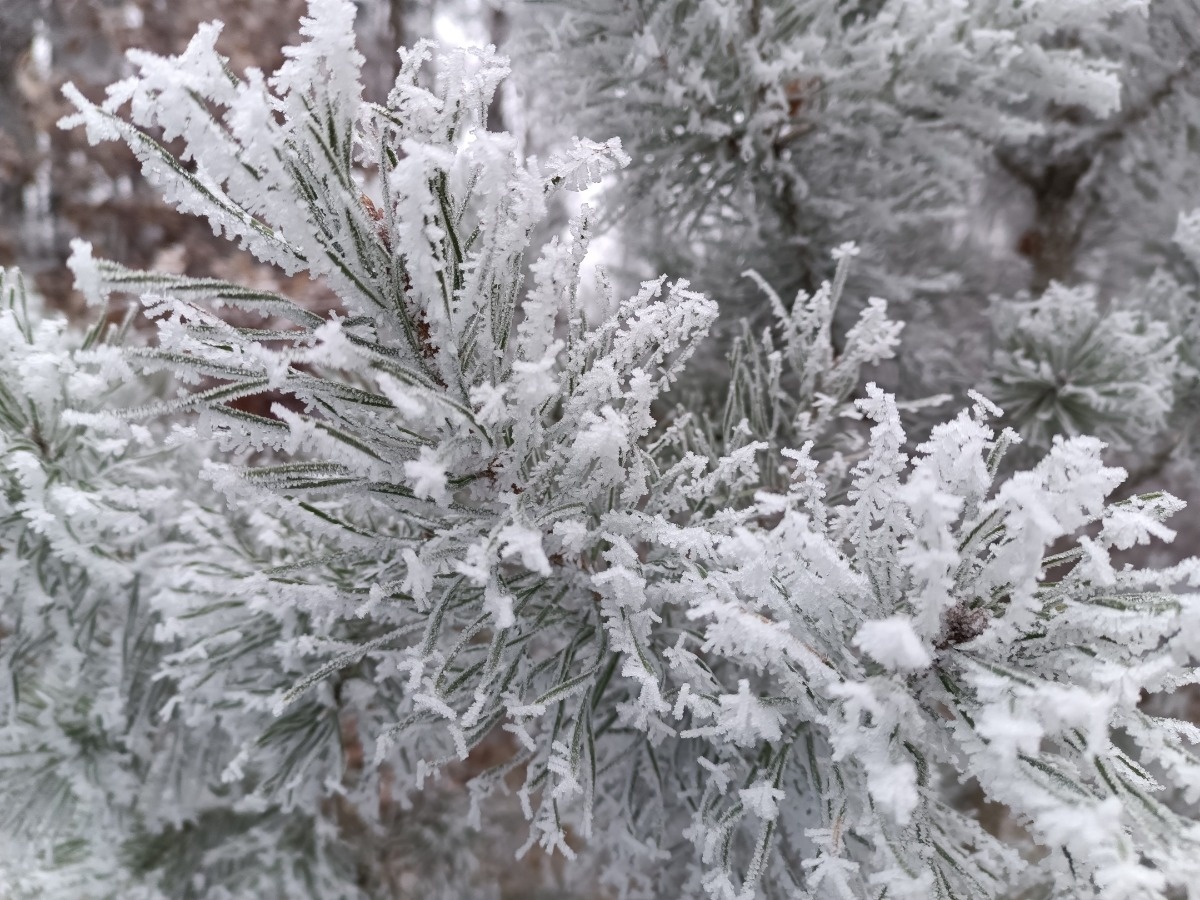 504410b8-bcf5-46dc-9ea8-e819ad1ad1c4