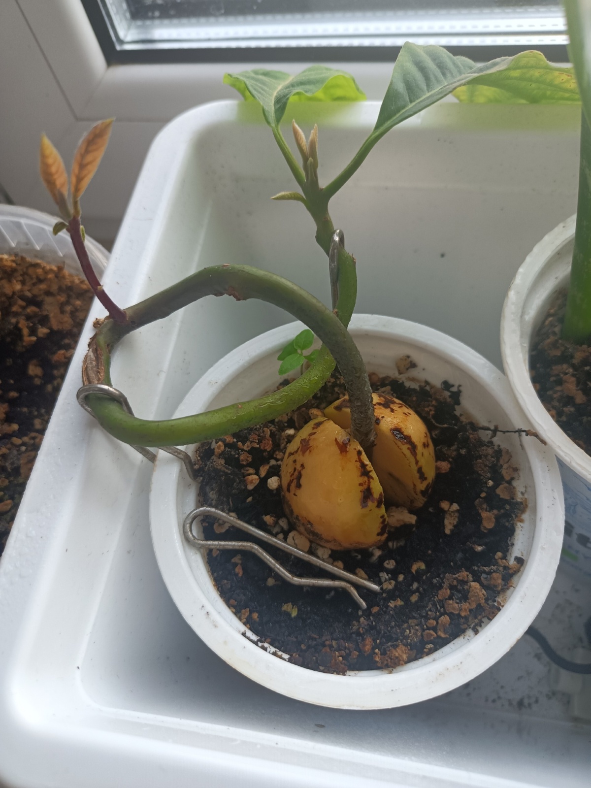 655babb4-e81f-45c3-ae4c-c3a40be19a33