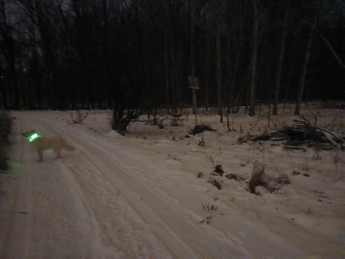 040e443f-5795-4619-9b79-de48da0cd8ef