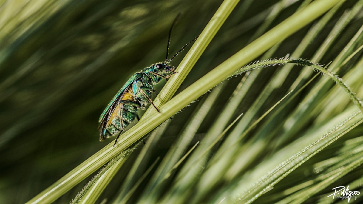 8171c948-a40f-4478-871c-e64cac667c91