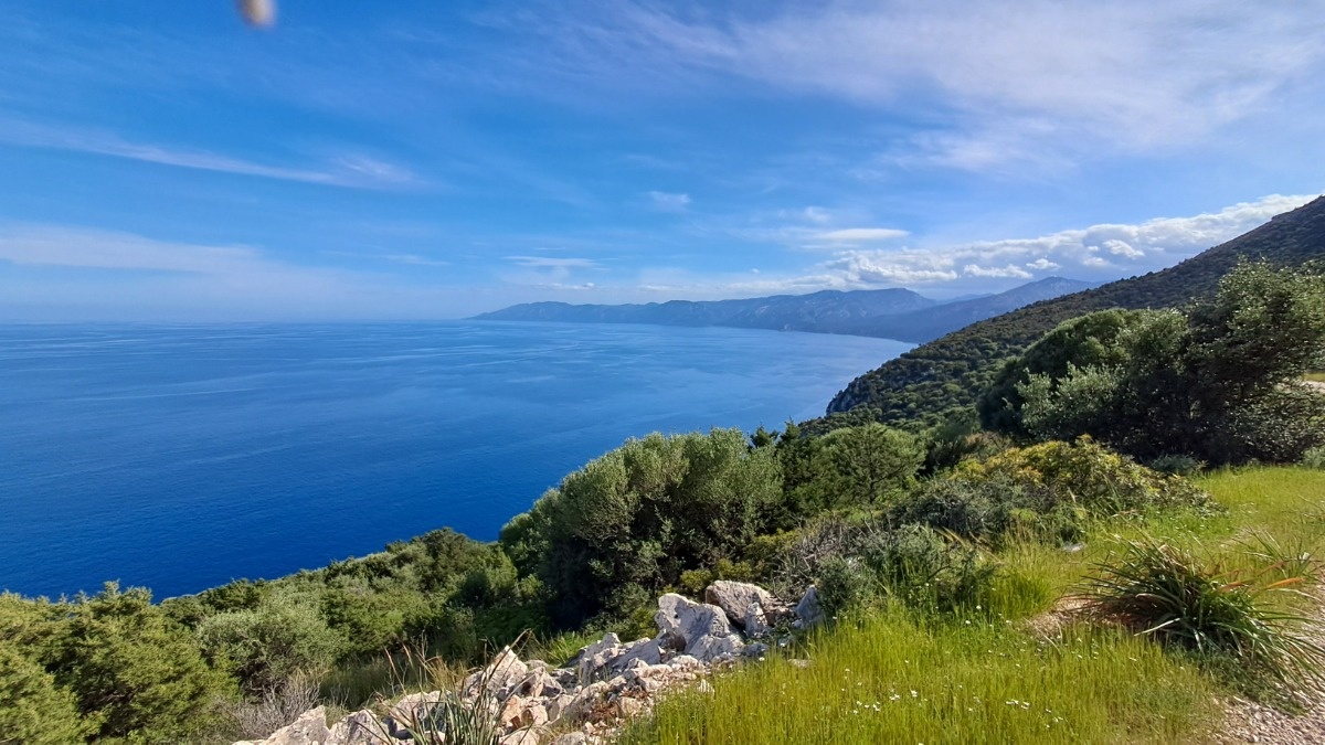 20bc8815-fefb-4a2f-b1c2-a0528d3674a4