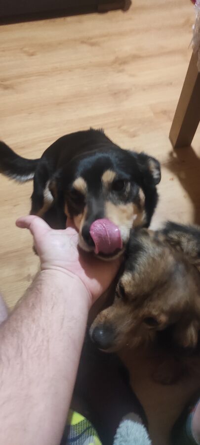 fbd3467f-24f0-4148-b6a2-2a519a566770