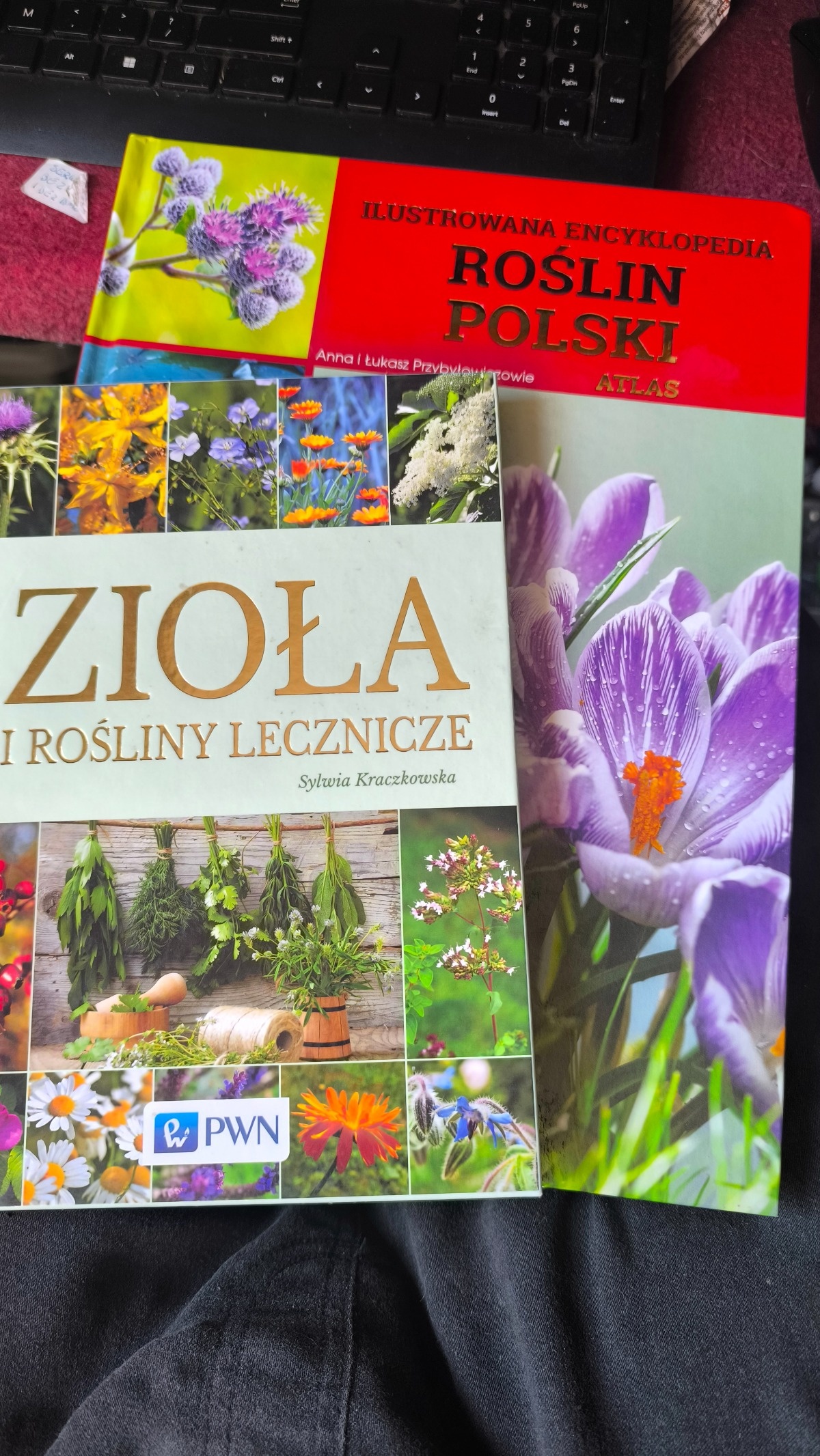 c42aa936-f116-4a06-abbc-a785112e18a0