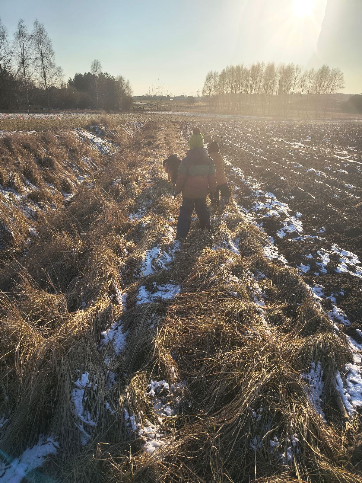 9548618b-02d8-4522-a449-26e56a54c1be