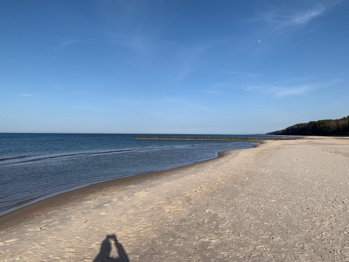 9fd6243e-bf4f-4950-ac5c-03a4a60260cb