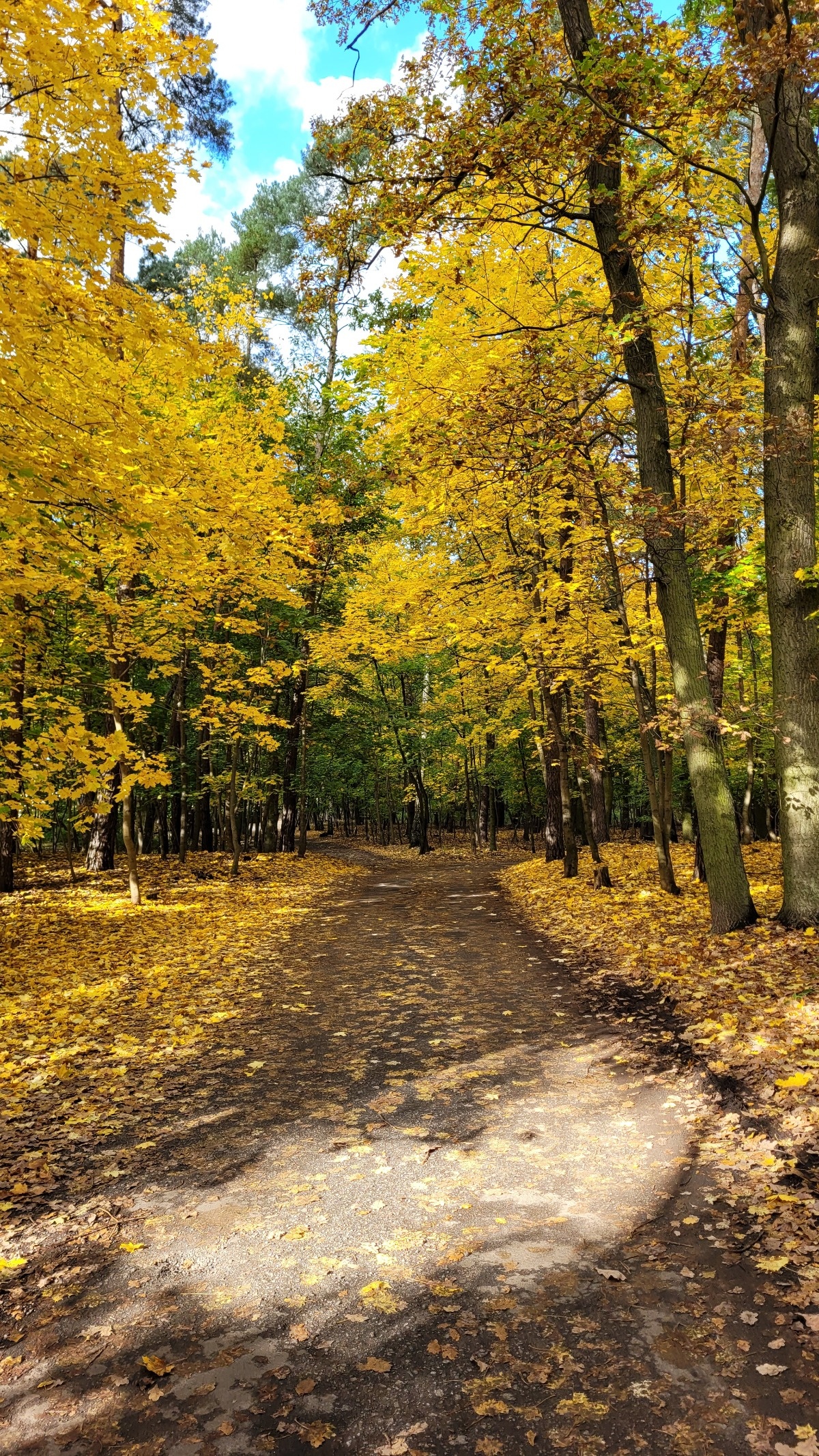 b3effa39-80b4-49a8-964d-f04d2563e7a7