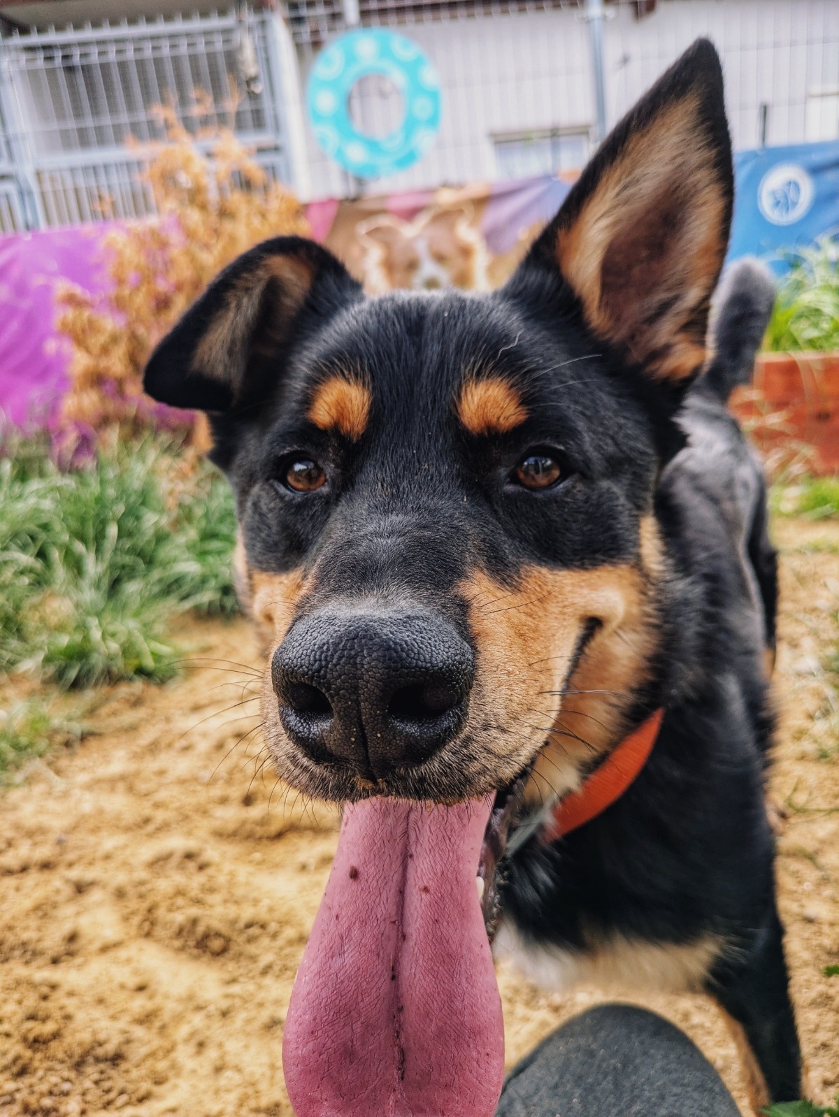 23e4311e-37e1-4dc0-b390-20054cc3d3de