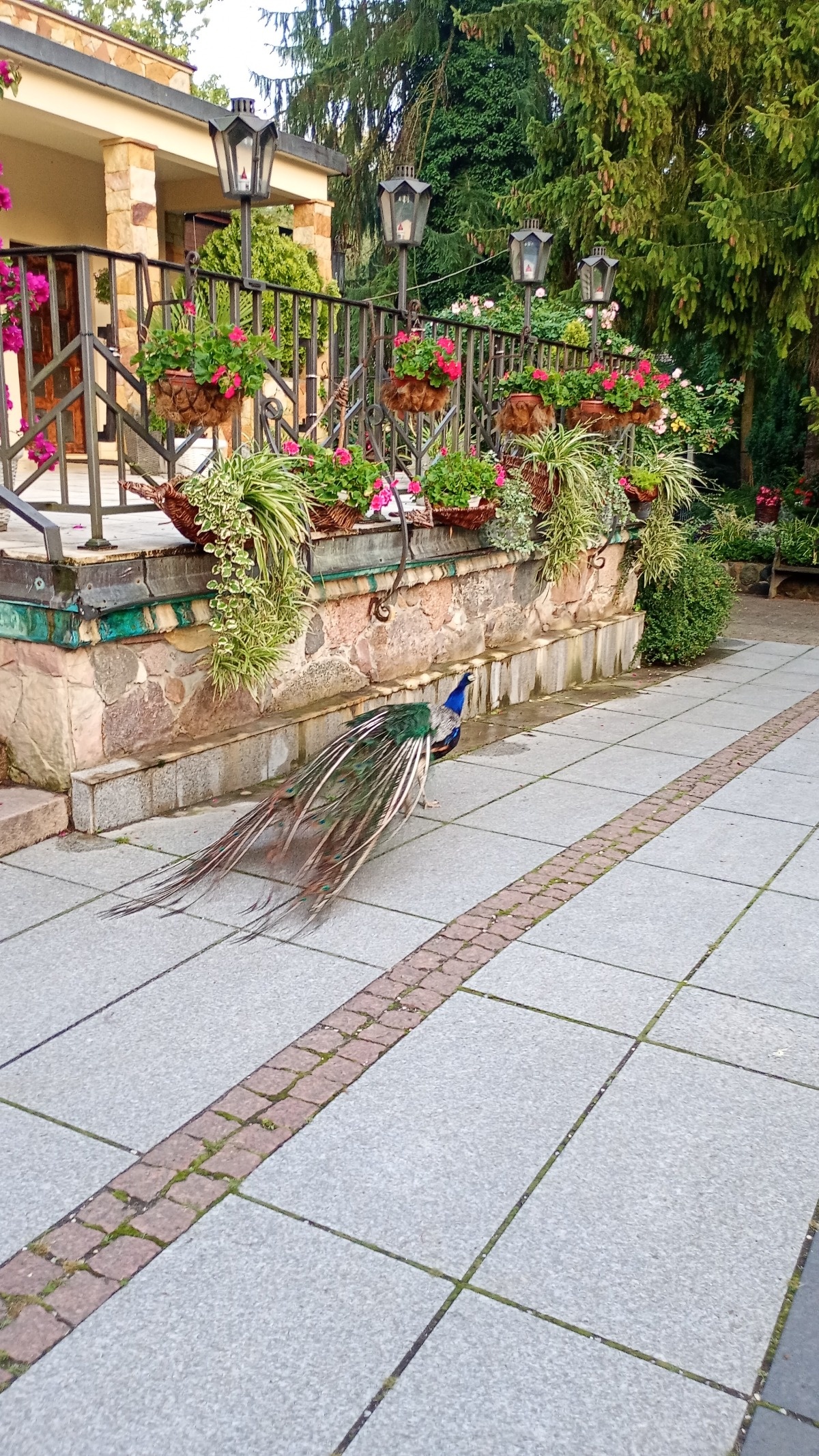 a5a79108-c7f1-47d8-bcd8-7c0c83dcc57d