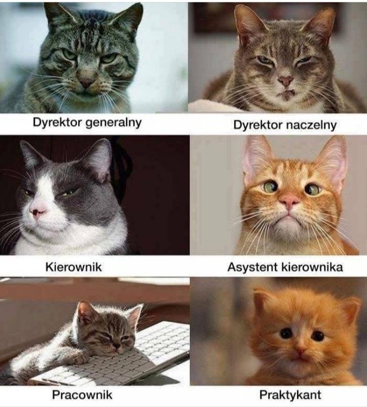 be4ccf5c-be2a-4b20-852f-304f0c825134