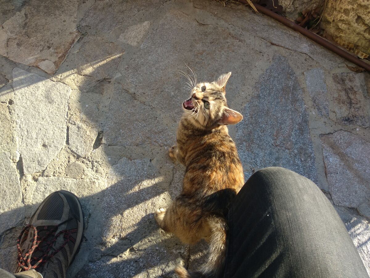 041112ec-fd6b-4873-ba48-5207e99a7a0c