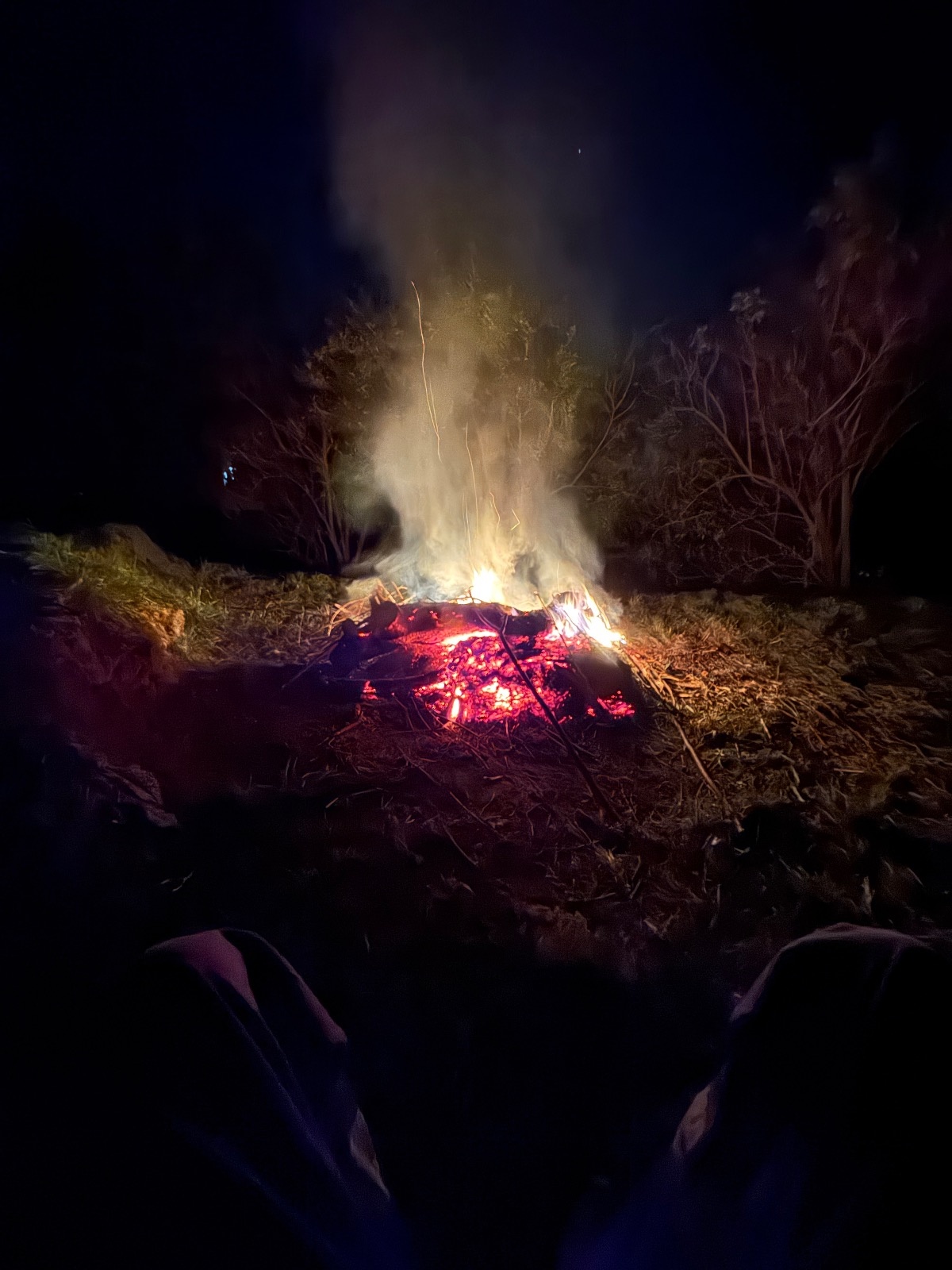 f9c2ed70-d52b-4e50-b7fb-f1d3f4308046