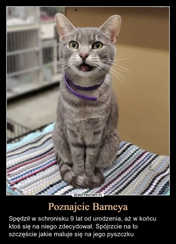 05301225-4f7d-495e-b19a-6064cdd9f979