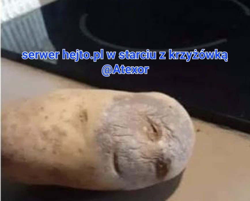 95de6987-a4c7-40de-accd-2a34e3bf2286