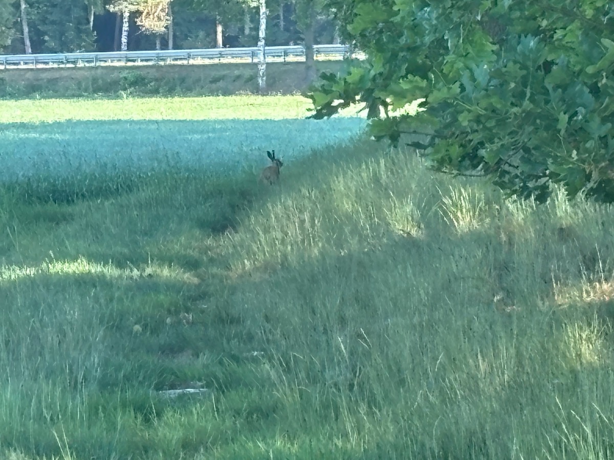 7179379e-6ffc-484b-97b4-214b9113938d