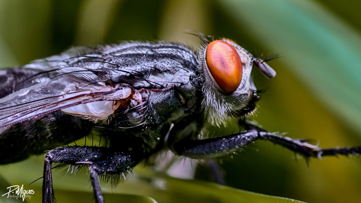 61a723b4-f225-4d3d-8707-aedf5be5c7a2