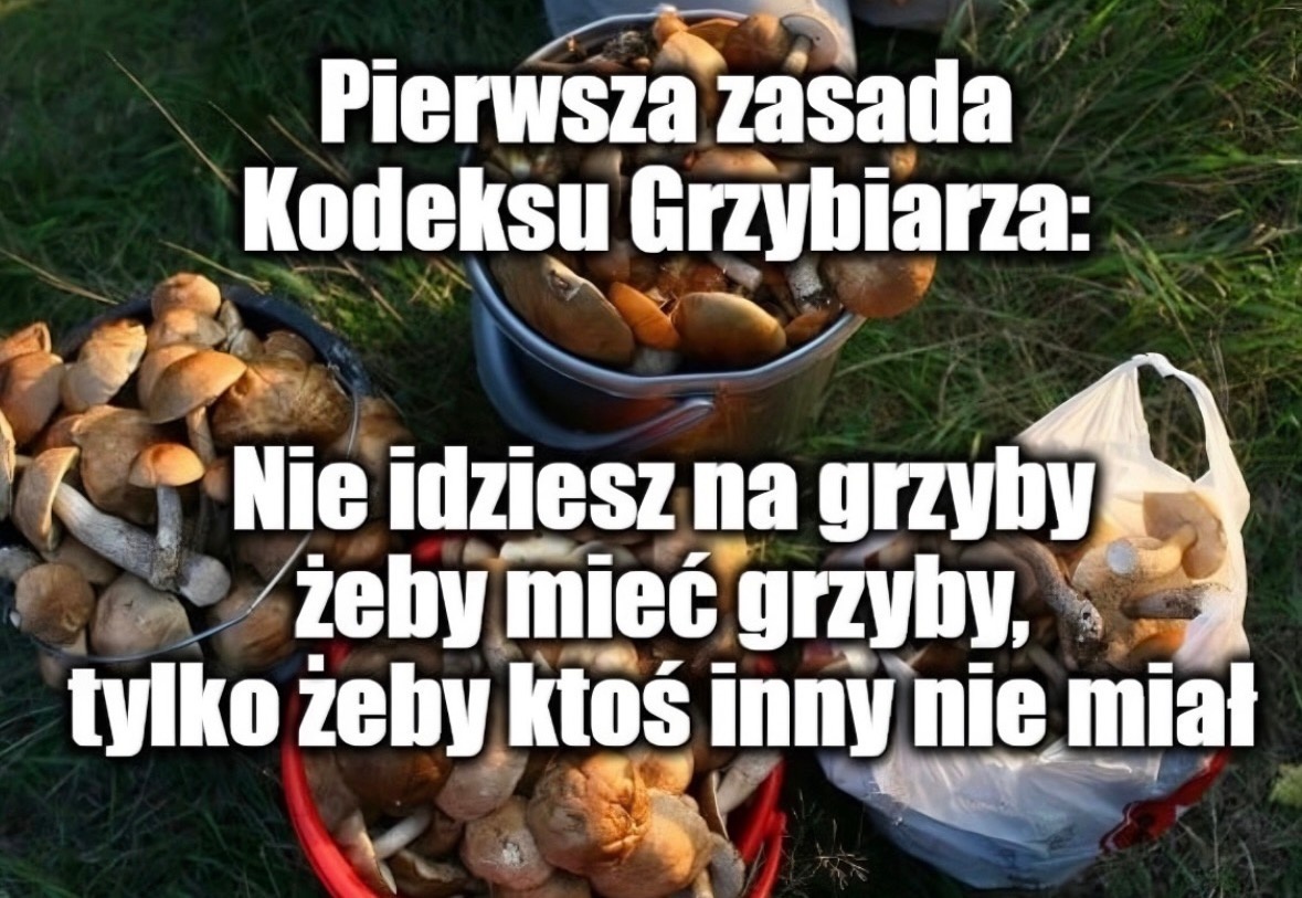 57a5b31c-2742-4ee3-861d-010cadd5ce06