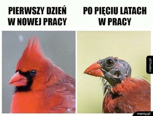 b8c1f320-908f-4d08-929b-593bdd20cc14