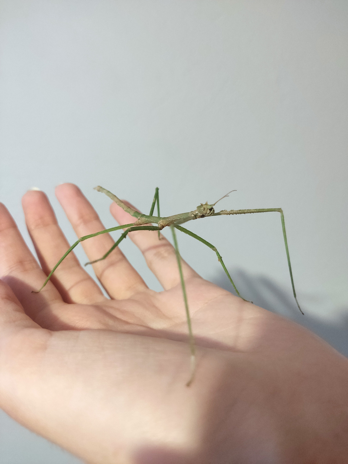 d3b58011-746d-4c1d-a840-6b57934d568b