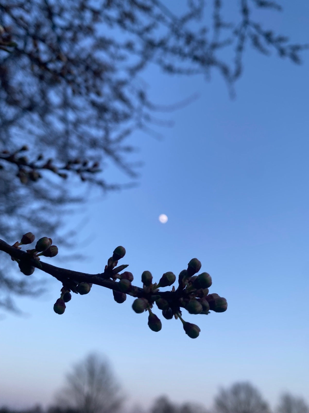 c4d2f7ed-351f-43e6-b0b3-4c41b4fc7b7c