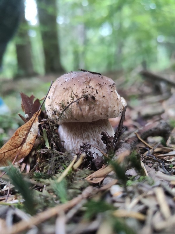 76eaead7-3f19-4f72-aa89-0317575051fe