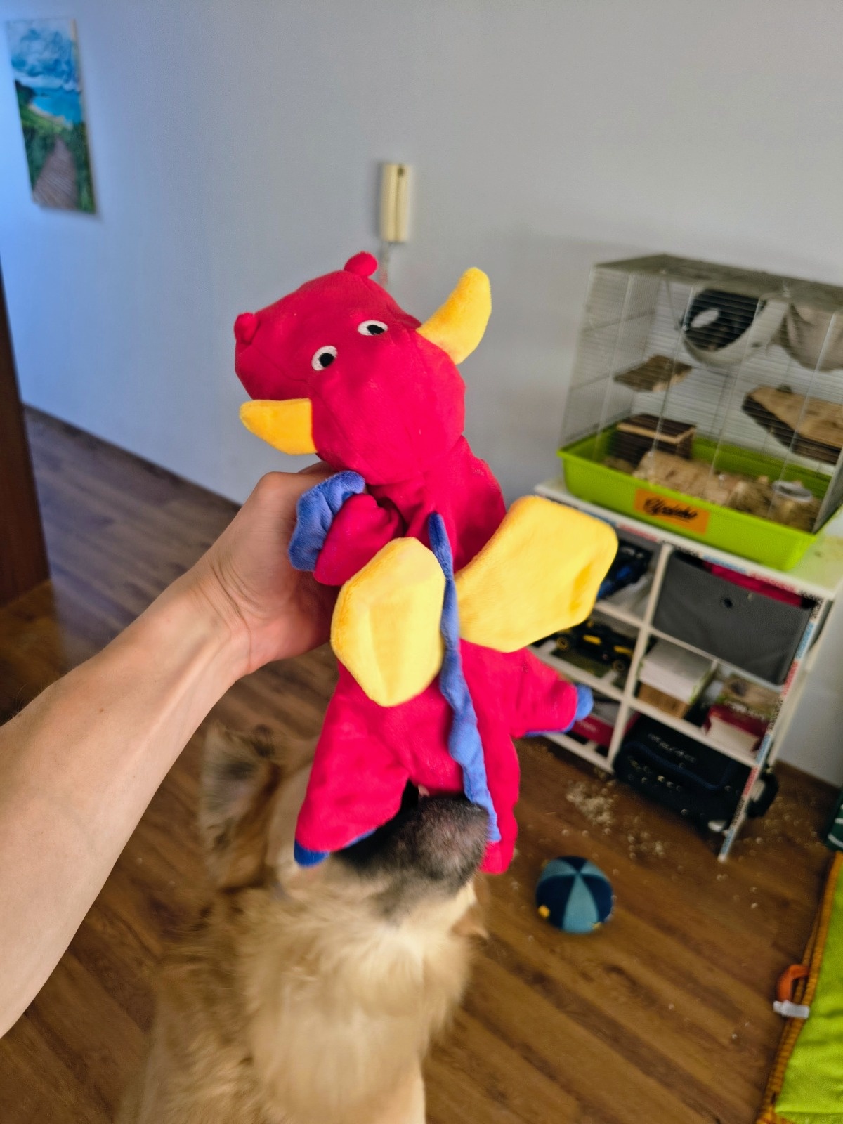 df4aec10-27b7-4419-86d2-5b80eb1cfb0c