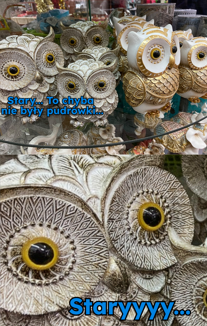 0cc6e053-e740-4e64-b0fd-13423246feb2