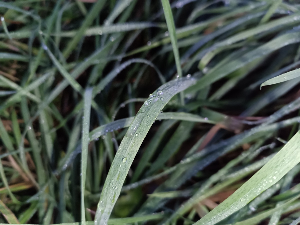 1fe28797-203c-4fa4-a35b-813eb96bc3fb