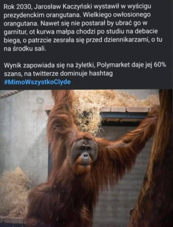 74828ed0-d72b-4f5b-9a1e-c0fb909472fc