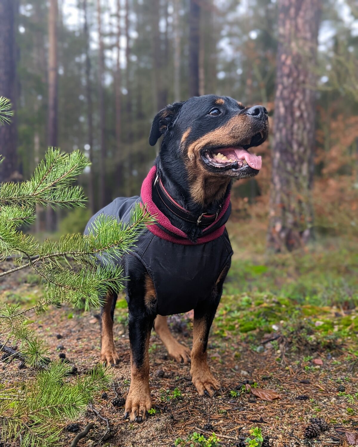 b5b2478b-a1d0-42cf-b2c8-deb45e173153