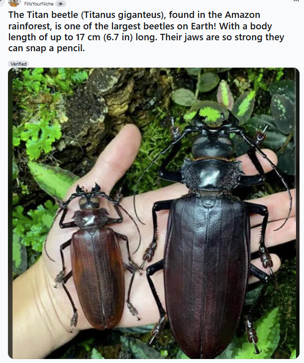 75bf0e1a-67e6-4222-9ca3-d02de343c1f7