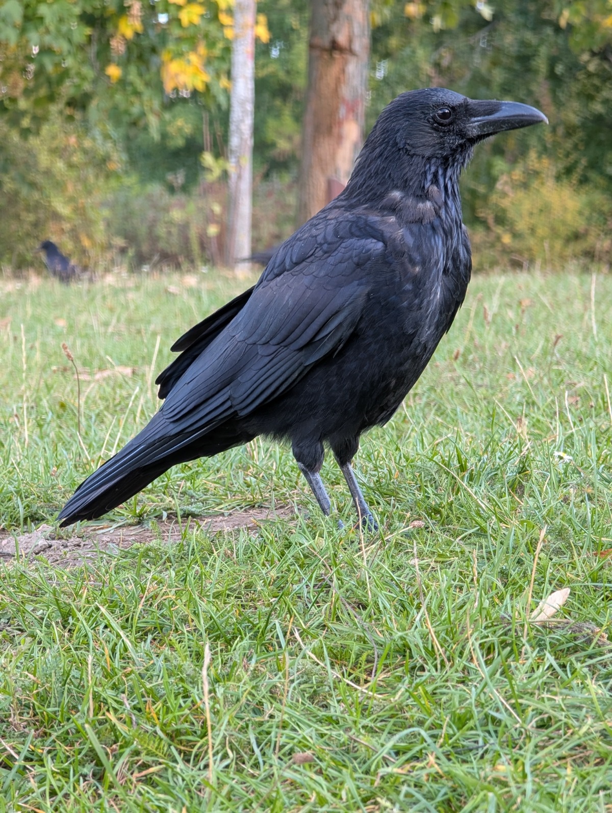 408574b3-4f6e-4d0e-8f03-9a9a42639137