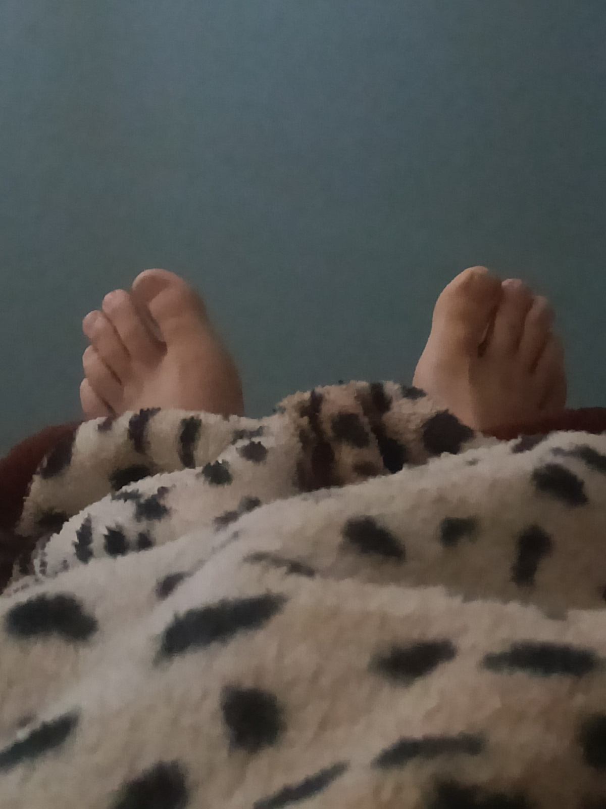 e1710c3c-0493-4f97-a044-cf02ea947b1e