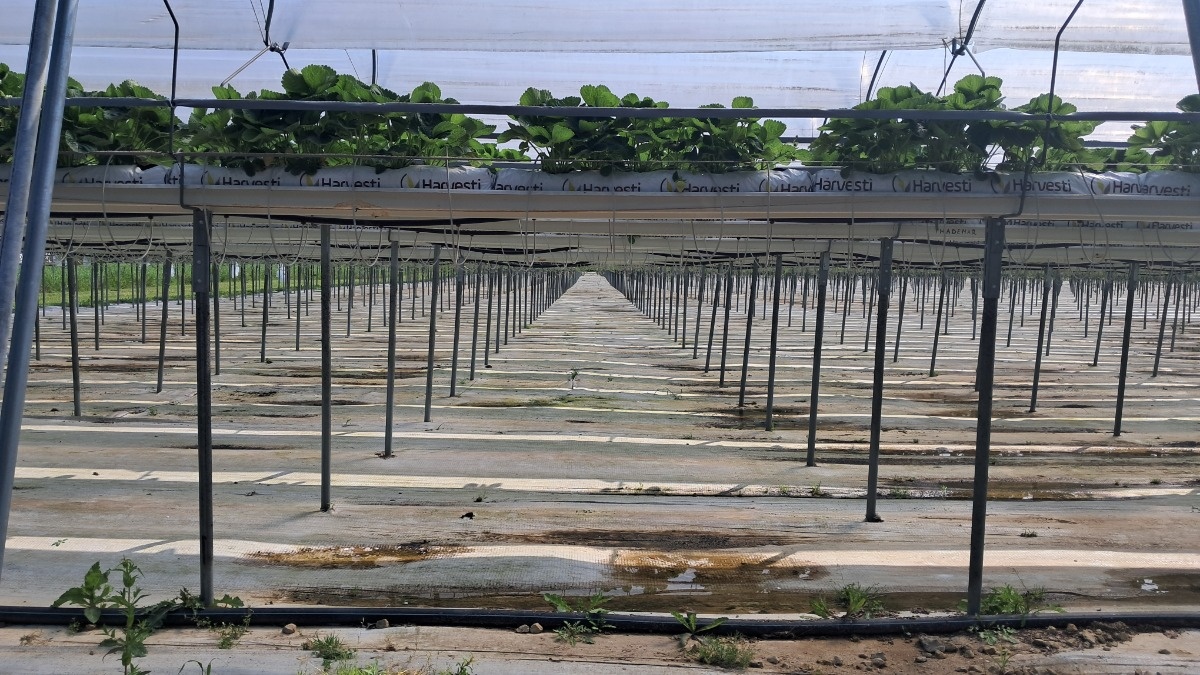 f03e3297-9e3d-4aa4-971f-8229120d7e40