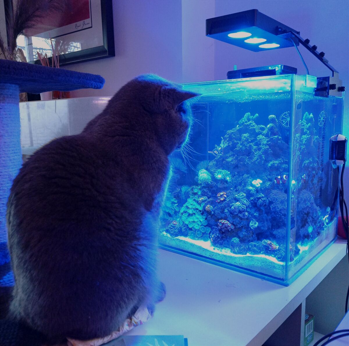 97d4ccec-9dcc-4f8d-8da8-d794796c759f